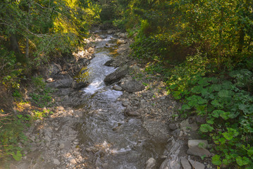 mountain river in the fall