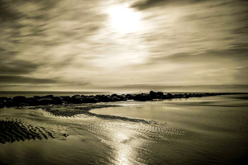 Texel