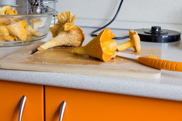 Raw chanterelle mushrooms on wooden cutting board on kitchen table, orange knife. Cooking process, recipe concept. Close-up, copy space