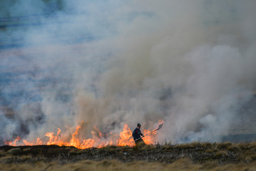 Farmer beating fire to control burning of heather [1]