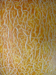 Ripe juicy melon. Crop.