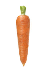 Fresh carrot on a white background