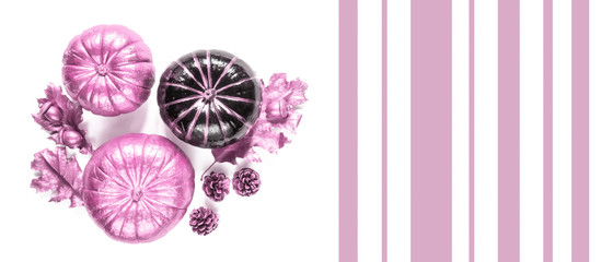 Flat lay autumn composition.Pumpkins, leaves, acorns, golden cones on a white background Frame copy space. Template fall harvest thanksgiving halloween anniversary  cards Top view banner