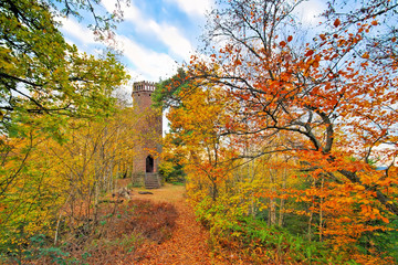 Annweiler Rehbergturm im Herbst im Pfälzer Wald -Annweiler Rehbergturm in Palatinate Forest in autumn