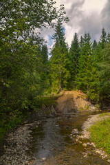 Fototapeta na wymiar mountains river in the forest