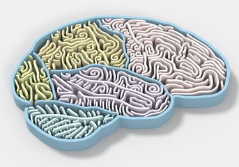 brain maze