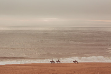 Obraz na płótnie Canvas Riding on the beach