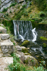 Waterfall at Source du Doubs Mouthe Franche Comté France with Green Plants