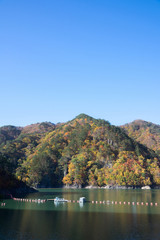 ダム湖の紅葉