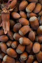 Hazelnuts. Natural food background.