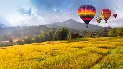 Washable wall murals Balloon Hot air balloon over the yellow terraced rice field in harvest season .