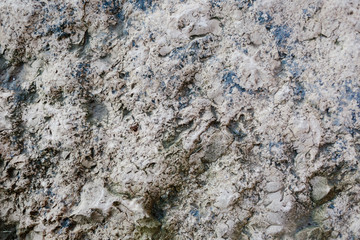 rock texture