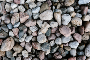 Rocks