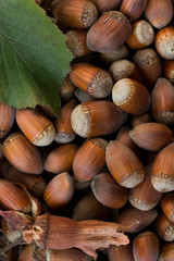 Hazelnuts. Natural food background. Close up