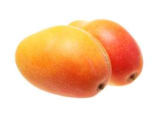 Mango on a white background