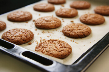 Freshly baked oatmeal cookies on a baking sheet, low angle view, shallow depth of field, foreground focus