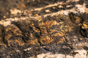 Detail of gold and black colored mineral stone.