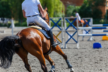 Young male horse rider on show jumping competition