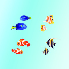 Fototapeta premium Group of fishes - coral fish isolated on blue background. Clown fish, surgeon fish, butterfly fish, triangle fish. Vector illustration in colorful style.
