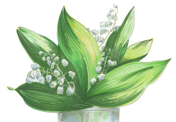 Lily of the valley - 293555206