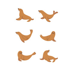 Cartoon seal sketch line icon. Cute animals icons set. Childish print for nursery, kids apparel, poster, postcard, pattern.