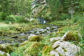 Waterfall at Source du Doubs Mouthe Franche Comté France with Green Plants