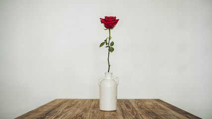 Lonely rose in a vase