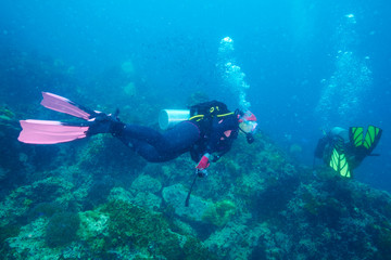 Divers and coral reef