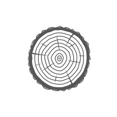 Fototapeta premium Sectional tree trunk isolated on white background