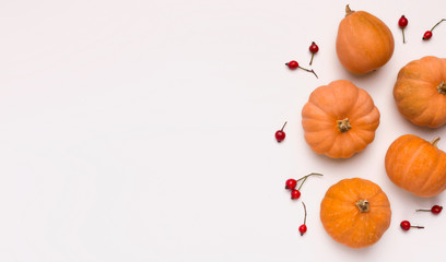 Flat lay of Orange pumpkins on white background