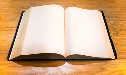 An empty old page of the Bible