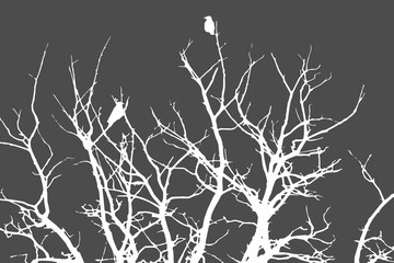 white silhouette for halloween on gray background, crows sitting on a tree in winter or autumn forest, dry trees, doodle style, vector illustration