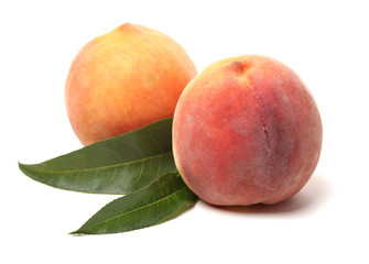 Gold Peach on a white background