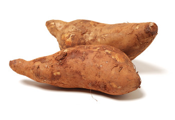 Fresh Yacon (Peruvian ground apple) on white background