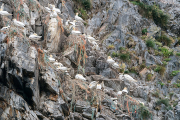 Plastic pollution critical point at Runde Norway July 2019