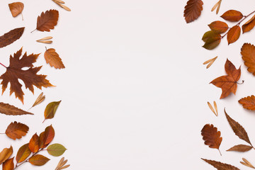 Different colored brown leaves frame on white background