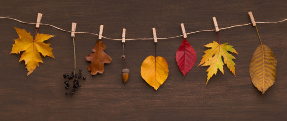 Garland of different dead leaves hanging on the rope