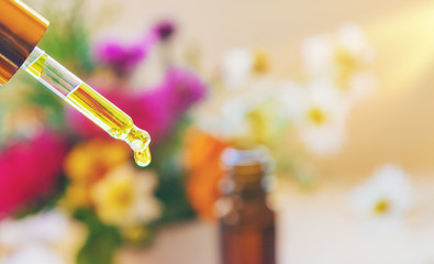 Homeopathy. Herbal extracts in small bottles. Selective focus.