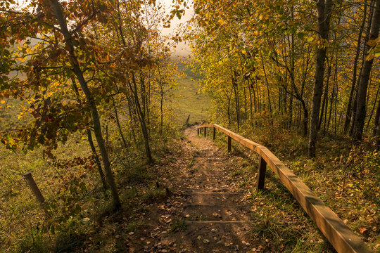 Trail on a beautiful autumn morning in Suwalski landscape park, Turtul, Podlaskie, Poland