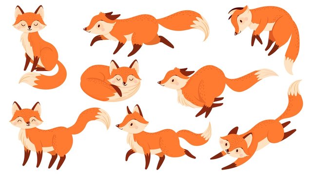 Cartoon red fox. Funny foxes with black paws, cute jumping animal vector illustration set
