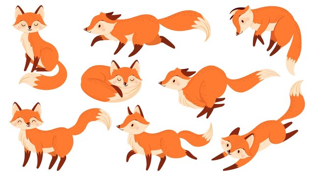 foxes drawing cute