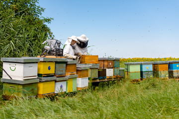 Beekeepers