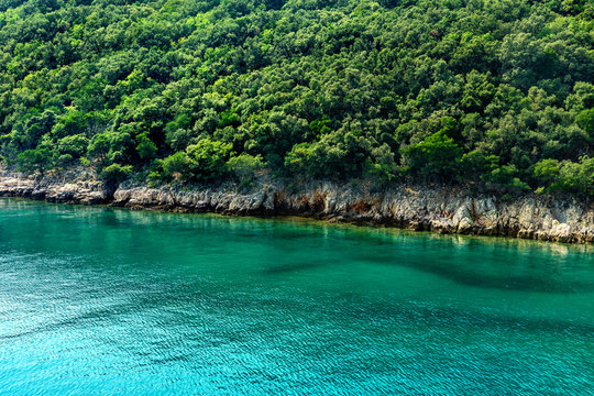 rocky seashore on Croatia islans with turquoise water and pine trees