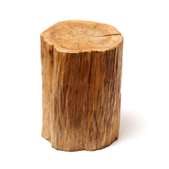 log isolated on a white background