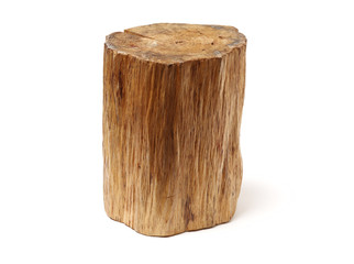 log isolated on a white background