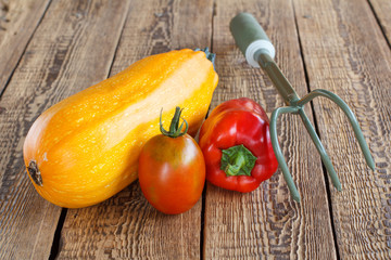 Fresh ripe vegetables on old wooden boards.