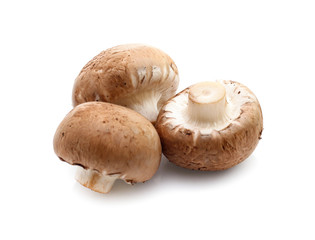 champignon mushrooms on white background