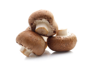 champignon mushrooms on white background