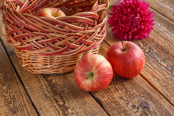 Just picked apples in a wicker basket on old wooden boards