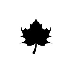 Stylized Autumn Maple Leaf Foliage logo
